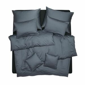 SCANquilt povlečení EXCLUSIVE TENCEL PLUS šedá 140 x 200/70 x 90 cm obraz