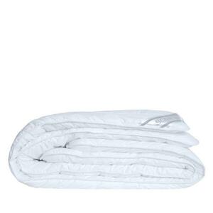 SCANquilt přikrývka CLASSIC - celoroční - hřejivost Sq 5 140 x 220 cm - prodloužený celoroční obraz