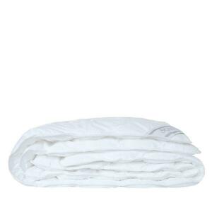SCANquilt celoroční přikrývka COMFORT COTTON 140 x 200 cm antibakteriální obraz