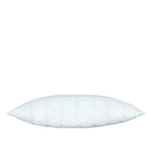 SCANquilt polštář EXCLUSIVE SATÉN - bavlna s Aloe vera 70 x 90 cm bavlna s Aloe vera obraz