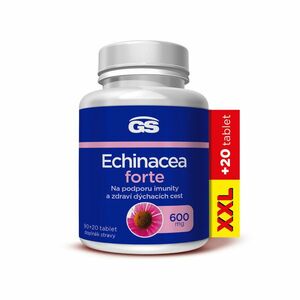 GS Echinacea Forte 600 mg XXL 90+20 tablet obraz