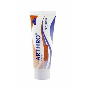 Ice Power Arthro Creme 60 g obraz
