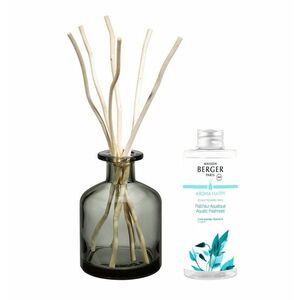 Maison Berger Paris Aroma difuzér Happy Svěžest vody 180 ml šedý obraz