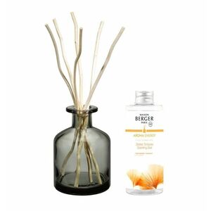 Maison Berger Paris Aroma difuzér Energy Čerstvé tonikum 180 ml šedý obraz
