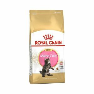 Royal Canin Kitten mainská mývalí kočka granule 10 kg obraz