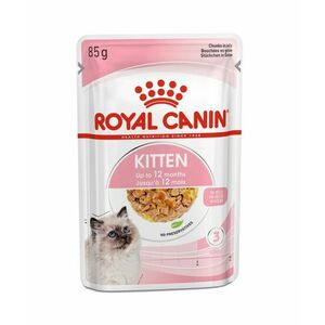 Royal Canin Kitten in Jelly kapsička 85 g obraz