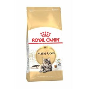 Royal Canin Maine Coon Adult granule 400 g obraz
