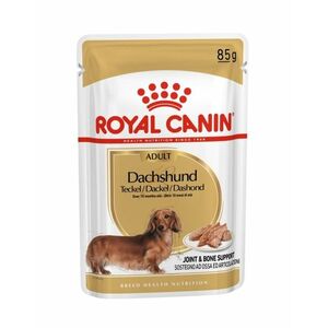 Royal Canin Dachshund Adult kapsička 85 g obraz