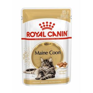 Royal Canin Maine Coon Adult kapsička 85 g obraz