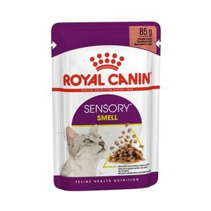 Royal Canin Sensory Smell in Gravy kapsička 85 g obraz
