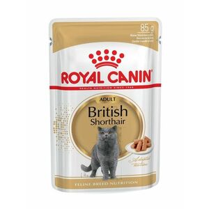 Royal Canin British Shorthair Adult kapsička 85 g obraz