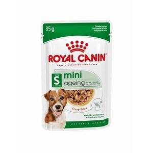 Royal Canin Mini Ageing in Gravy kapsička 85 g obraz