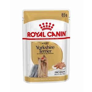 Royal Canin Yorkshire Terrier Adult kapsička 85 g obraz