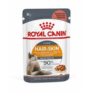 Royal Canin Hair&Skin Care in Gravy kapsička 85 g obraz