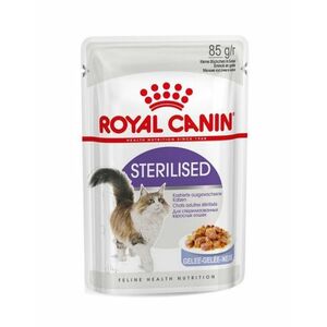 Royal Canin Sterilized in Jelly kapsička 85 g obraz
