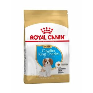 Royal Canin Cavalier King Charles Puppy granule 1, 5 kg obraz