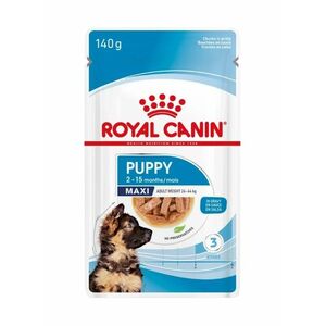 Royal Canin Maxi Puppy in Gravy kapsička 140 g obraz