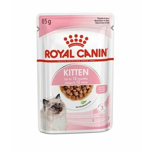 Royal Canin Kitten in Gravy kapsička 85 g obraz