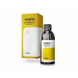 Vitahit Chaga 250 ml obraz