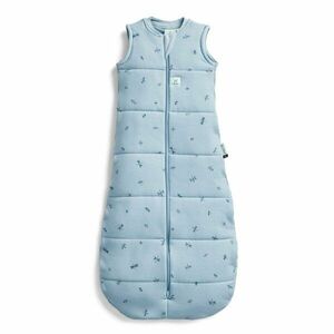 Ergopouch Pytel na spaní organická bavlna Jersey Dragonflies 8-24 m, 8-14 kg, 2, 5 tog obraz