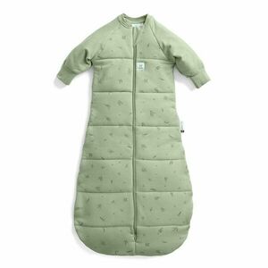 ergopouch Vak na spaní s rukávy organická bavlna Jersey Willow 3-12 m, 6-10 kg, 2, 5 tog obraz
