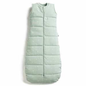 ergopouch Pytel na spaní organická bavlna Jersey Sage 3-12 m, 6-10 kg, 2, 5 tog obraz
