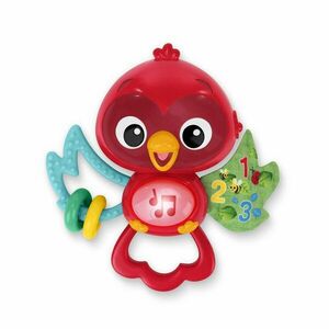 Baby Einstein Hračka hudební senzorická Roxy's Bright Flight™ 3m+ obraz