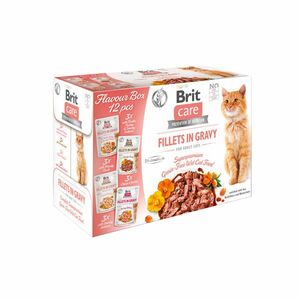 Brit Care Cat Flavour Box Fillet in Gravy 12x85 g obraz