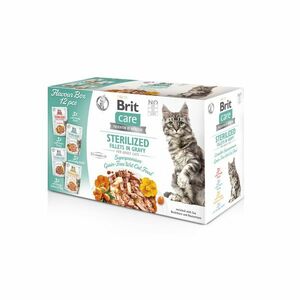 Brit Care Cat Flavour box Sterilized Fillet in Gravy 12x85 g obraz