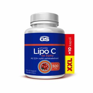GS Vitamin Lipo C se šípky 500 mg XXL 100+10 kapslí obraz