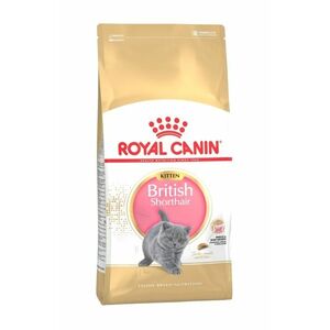 Royal Canin British Shorthair Kitten granule 400 g obraz