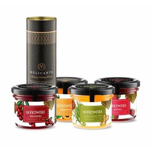 HoneyMix Dárková sada medů Brusinka, meruňka, jahoda a zázvor 4x140 g obraz