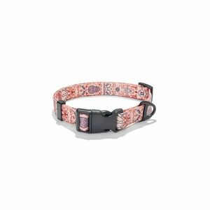 Explorer dog Obojek Srdce L - 41-66x2, 5 cm obraz