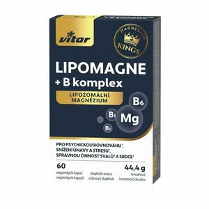 Vitar LIPOMAGNE + B komplex KINGS 60 kapslí obraz