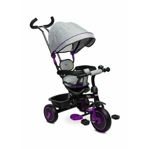 Toyz Tříkolka Buzz, šedá, fialová obraz