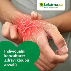 Individuální konzultace: Zdraví kloubů a svalů obraz