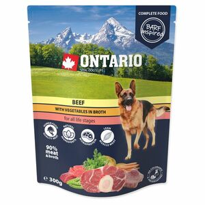 ONTARIO Kapsička hovězí se zeleninou ve vývaru 300 g obraz