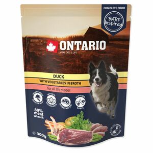 ONTARIO Kapsička kachní se zeleninou ve vývaru 300 g obraz
