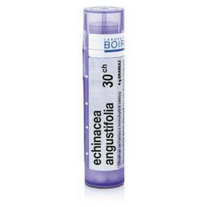 BOIRON Echinacea Angustifolia CH30 4 g obraz