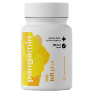 PANGAMIN Bifi plus 200 tablet obraz