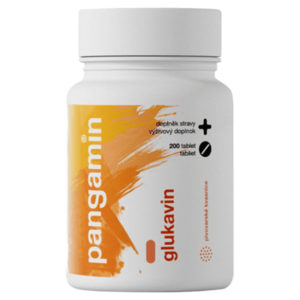 PANGAMIN Glukavin 200 tablet obraz