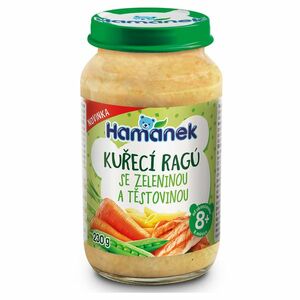 HAMÁNEK Kuřecí ragů se zeleninou a těstovinou 8m+ 230 g obraz