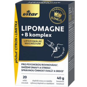 VITAR Lipomagne +B komplex 20 x 2 g obraz