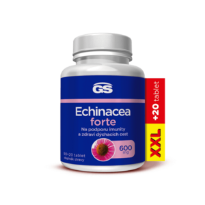 GS Echinacea forte 600 mg XXL 90 + 20 tablet obraz