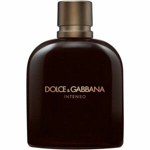 Dolce&Gabbana Pour Homme Intenso parfémovaná voda pro muže 200 ml obraz