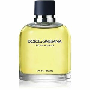 Dolce&Gabbana Pour Homme toaletní voda pro muže 200 ml obraz