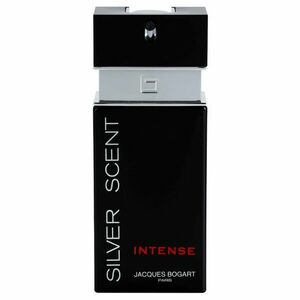 Jacques Bogart Silver Scent Intense toaletní voda pro muže 100 ml obraz