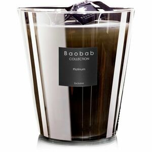 Baobab Collection Les Exclusives Platinum vonná svíčka 16 cm obraz