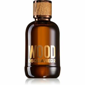 Dsquared2 Wood Pour Homme toaletní voda pro muže 100 ml obraz