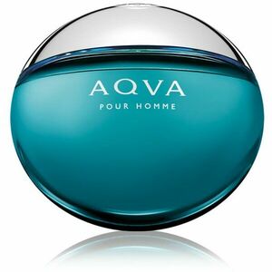 BVLGARI Aqva Pour Homme toaletní voda pro muže 100 ml obraz